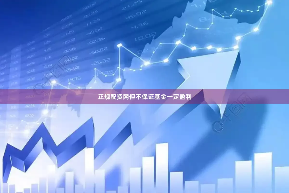 正规配资网但不保证基金一定盈利