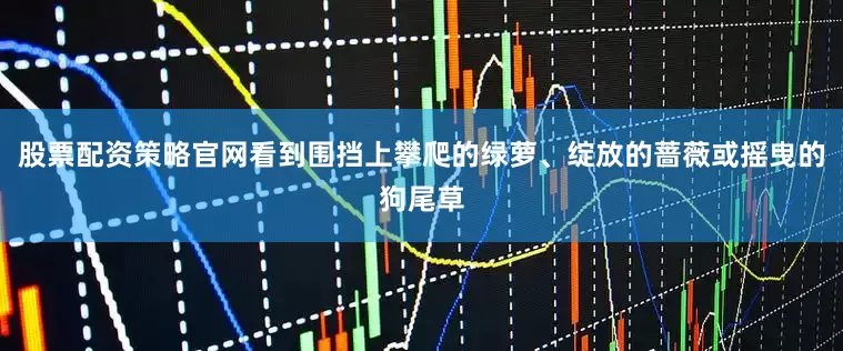 股票配资策略官网看到围挡上攀爬的绿萝、绽放的蔷薇或摇曳的狗尾草
